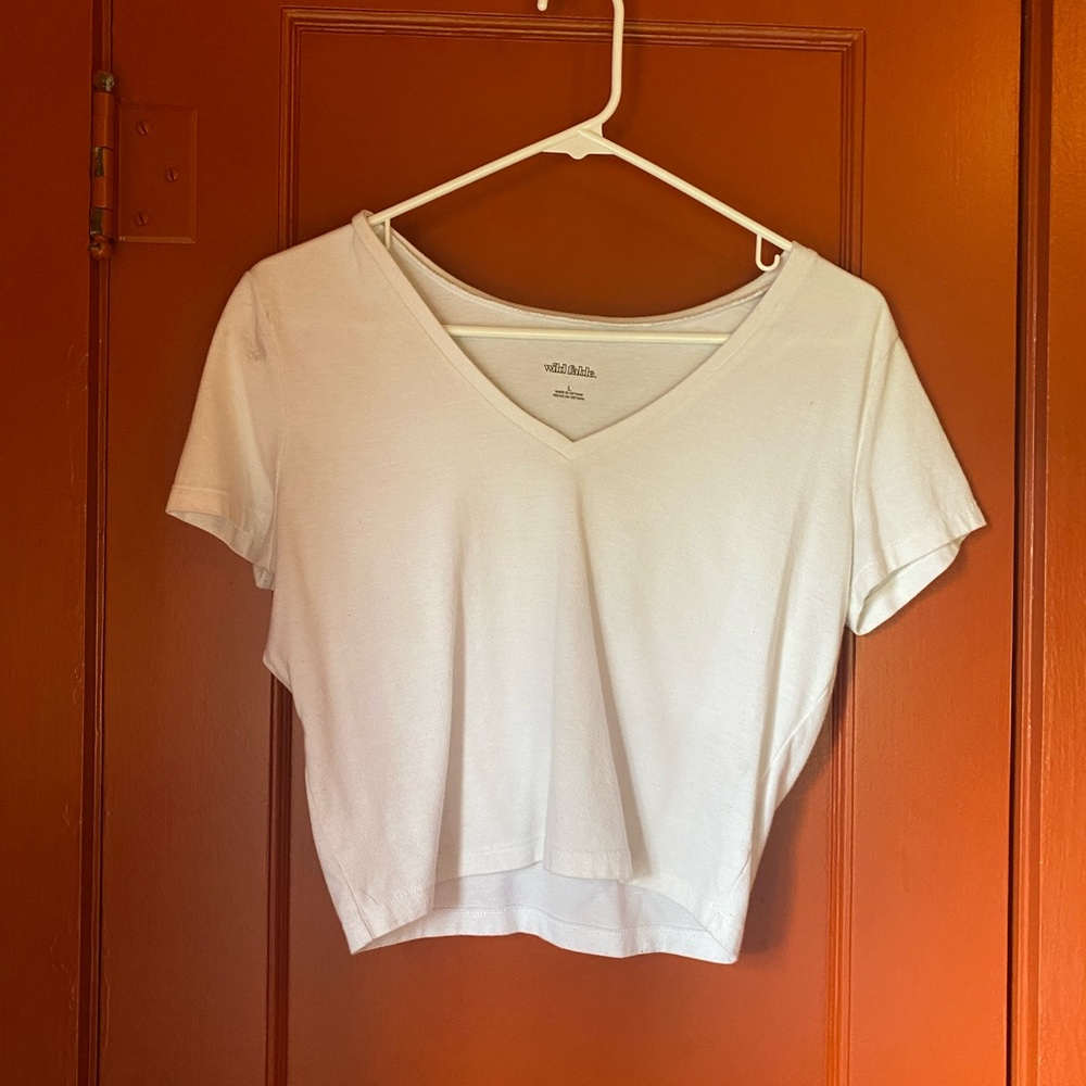 Wild Fable Crop Top